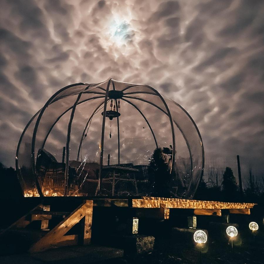 Willa The Wooden Nest -Covasna Zewnętrze zdjęcie